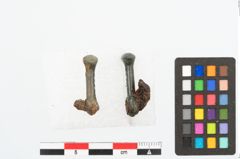 Foto von Bronzeanhänger (NHMW-PRAE-026665)